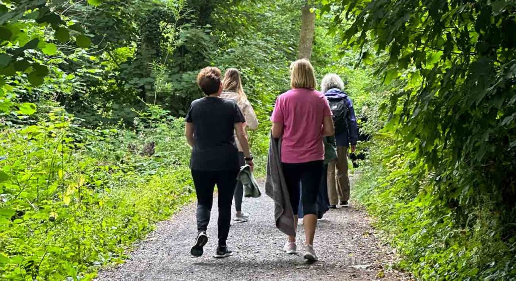 Mindful walking in the botanic gardens