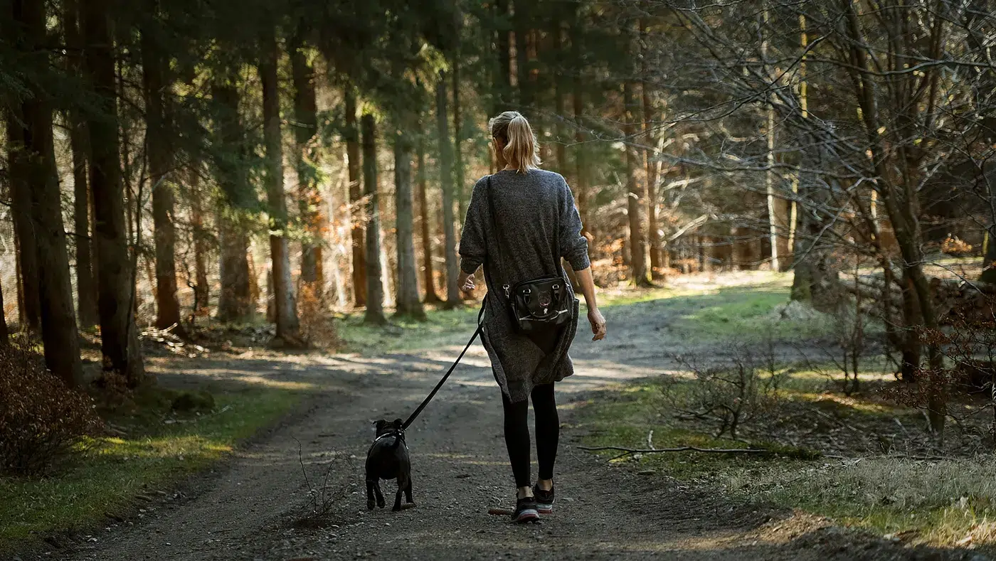 mindful walk in the forest
